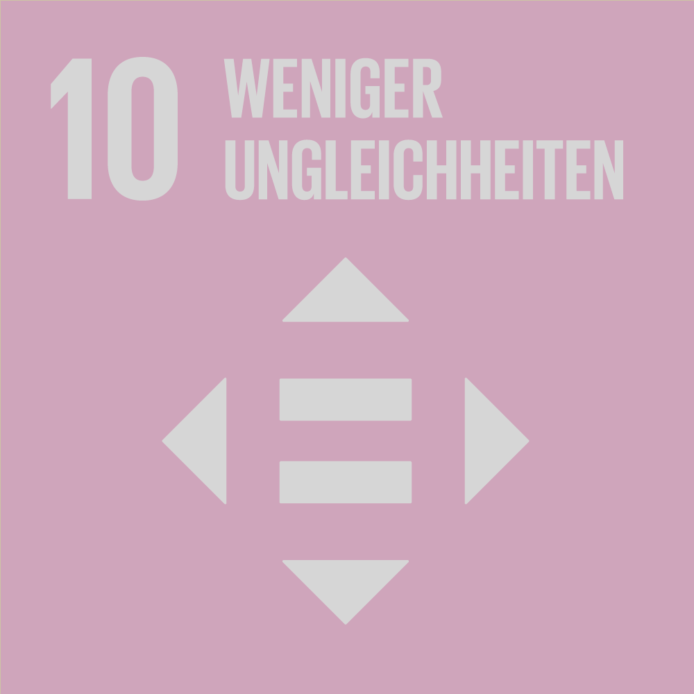 SDG-icon-DE-10g